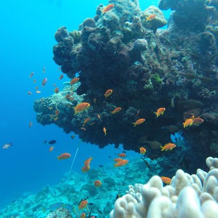 Rasdhoo Coralville Екстериор снимка