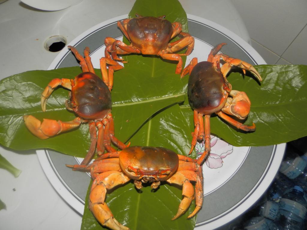 Rasdhoo Coralville Екстериор снимка