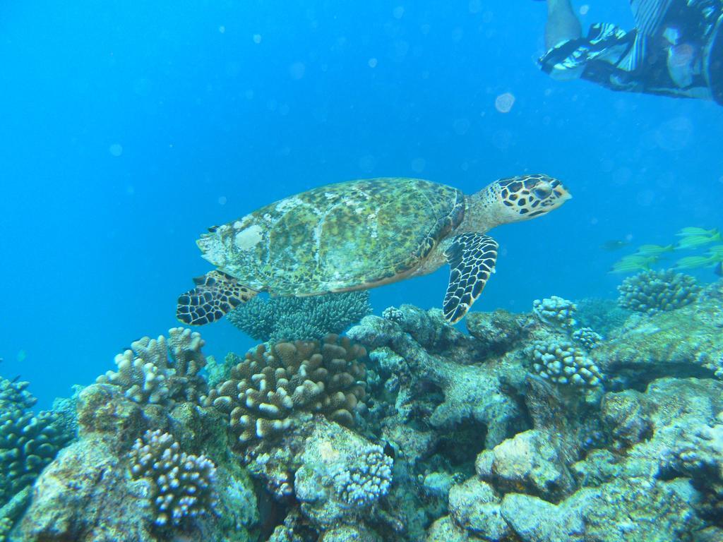 Rasdhoo Coralville Екстериор снимка