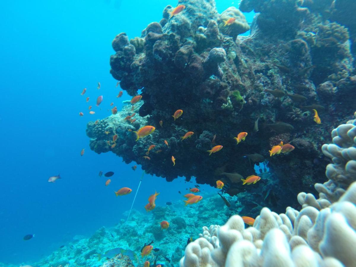 Rasdhoo Coralville Екстериор снимка